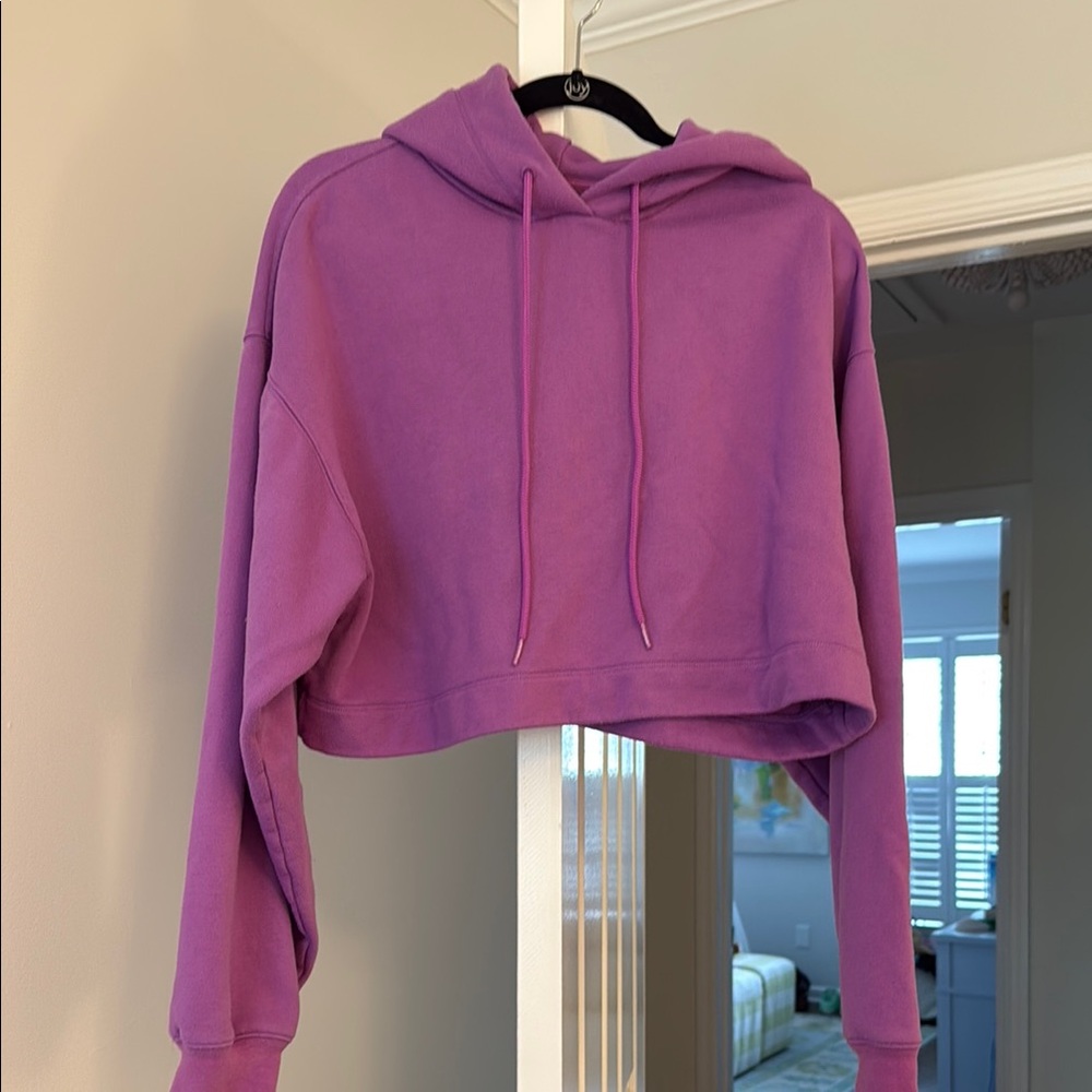 Alo Cropped Hoodie